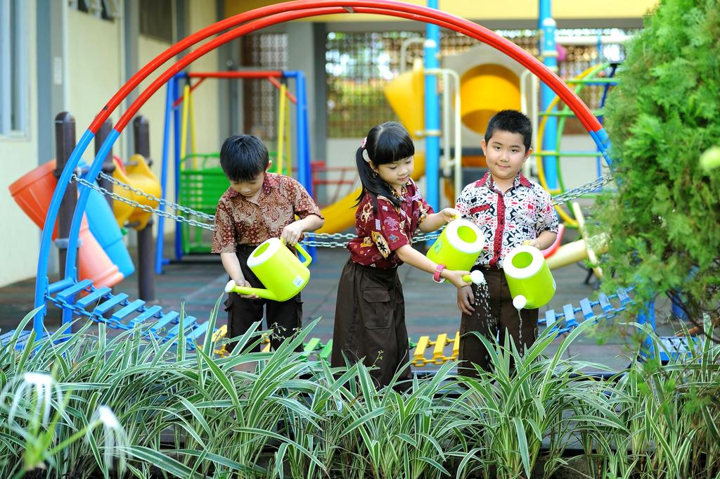 Water conservation program